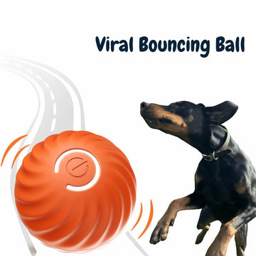 ⏰LAST DAY 50% OFF🎁 - Best Pet Toy Bouncing Ball